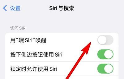 武胜苹果13维修分享iPhone 13怎么唤醒 Siri  
